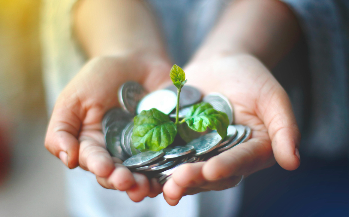 How EDG Help Small Businesses